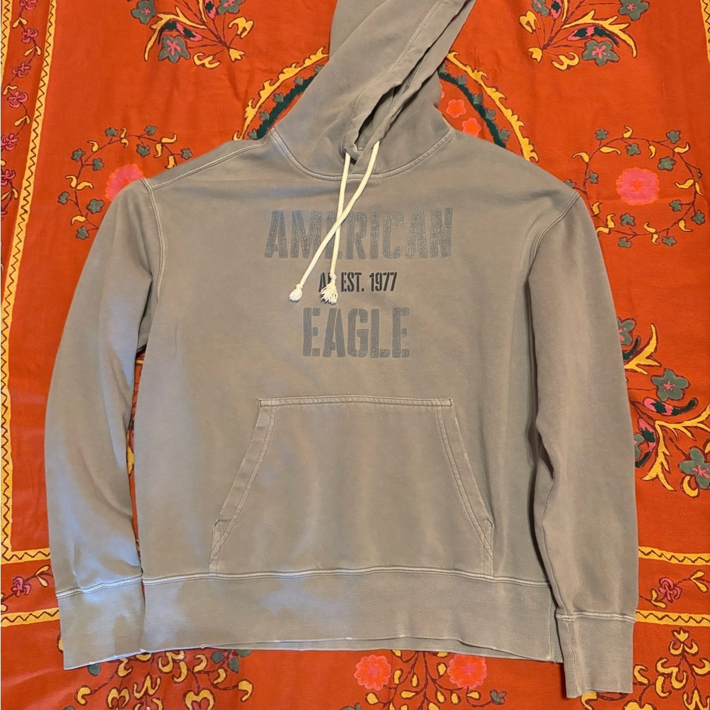 American Eagle Outfitters Gray Hoodie for Men
